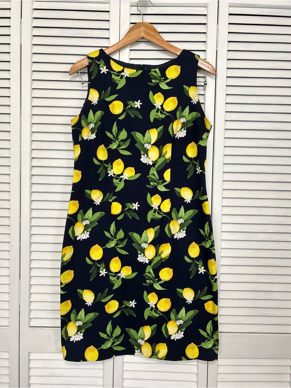 Chetta B Sleeveless Lemon
Print Dress Navy Blue White
Blossoms Size 8 - Picture 1 of 10